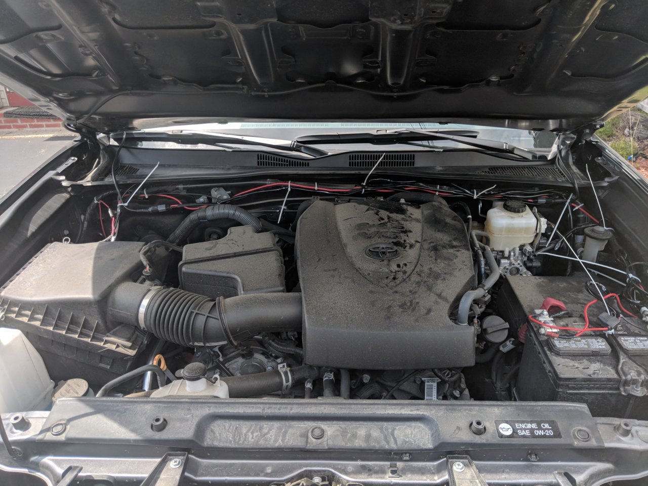 MVIMG_20180809_123737.jpg