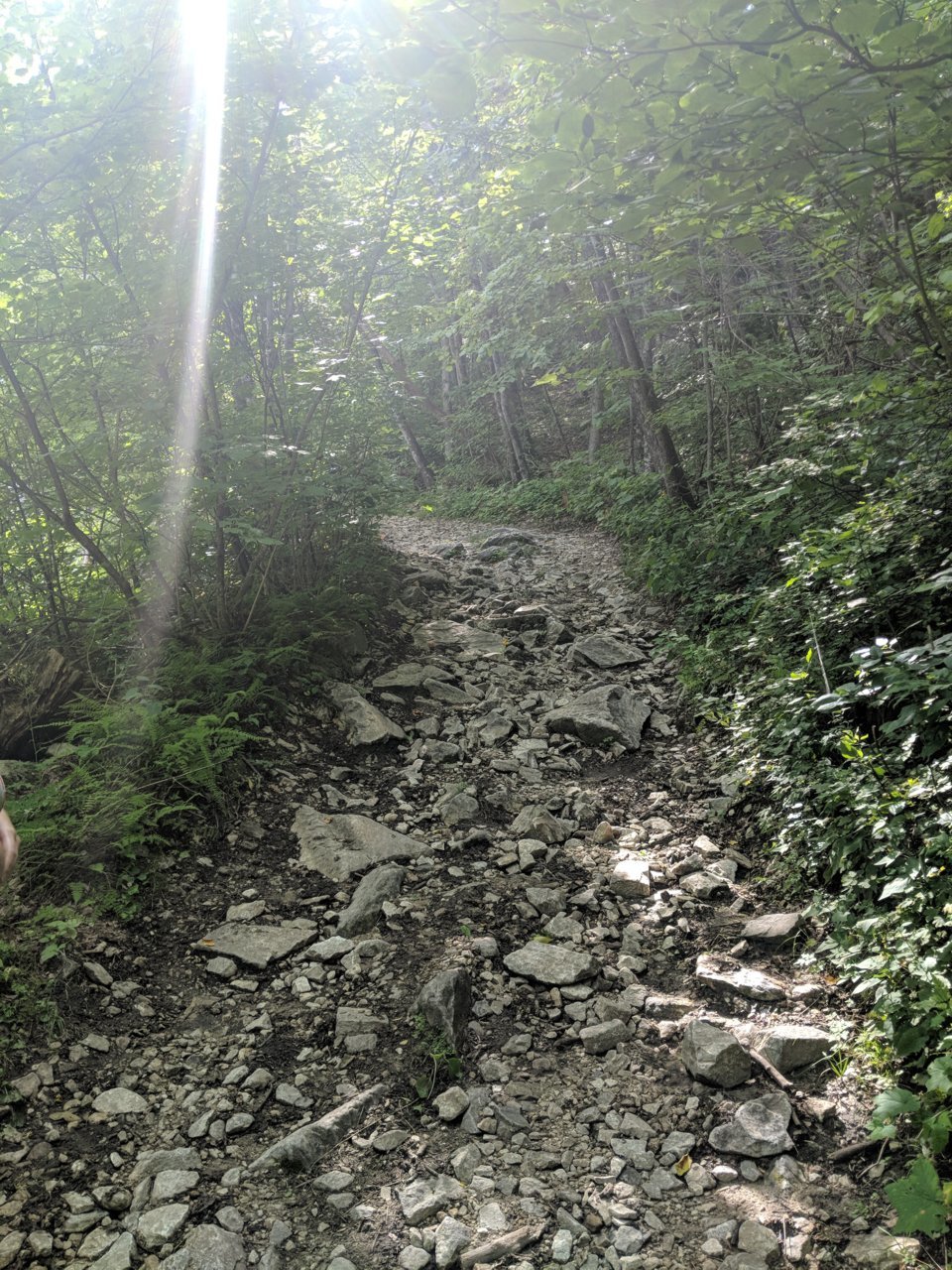 MVIMG_20180810_162456.jpg