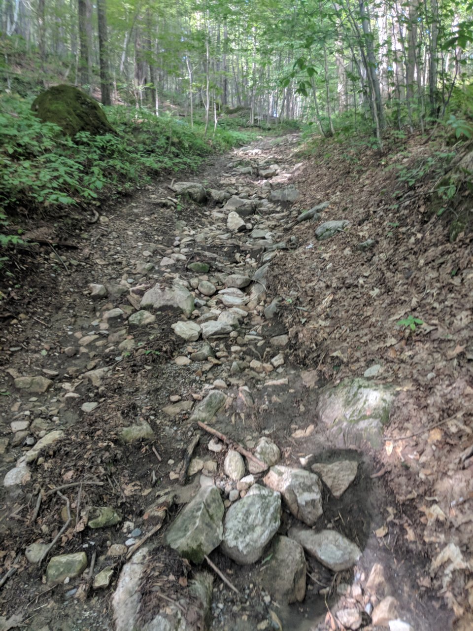 MVIMG_20180810_163702.jpg