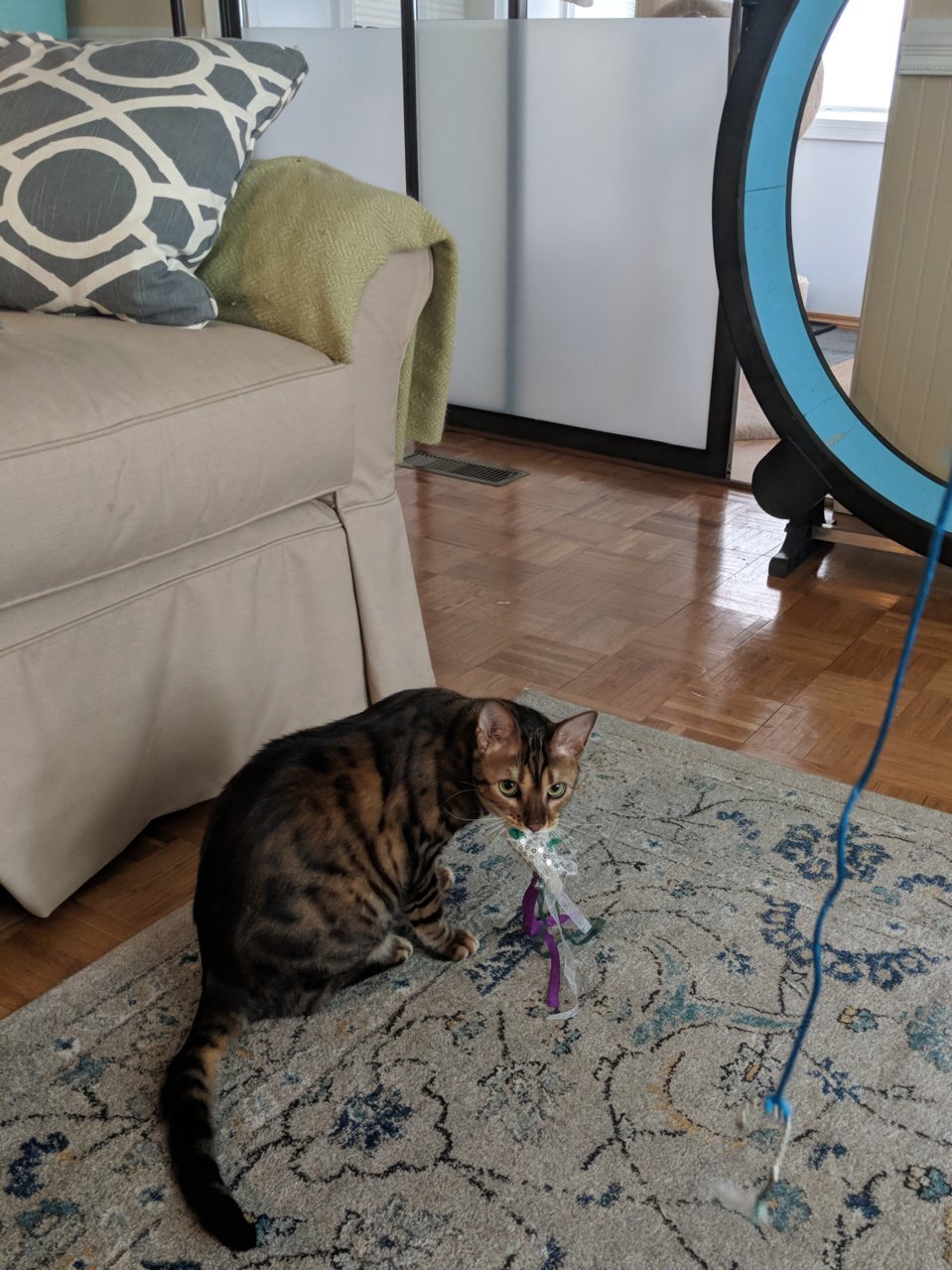 MVIMG_20180824_105125.jpg