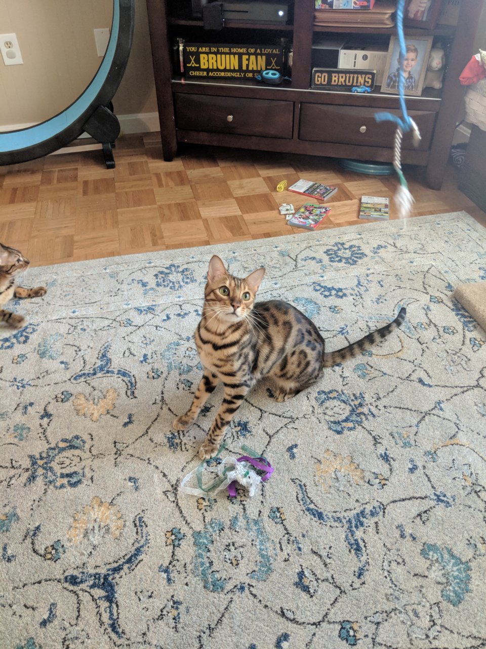 MVIMG_20180824_105311_1.jpg