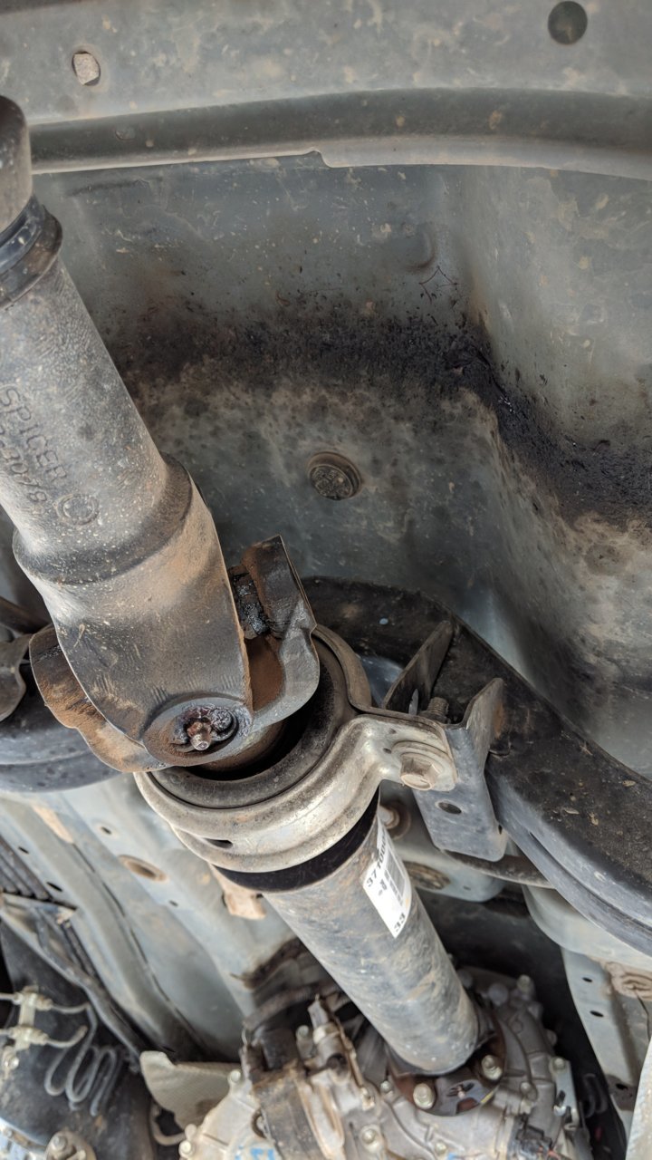 MVIMG_20180902_100617.jpg