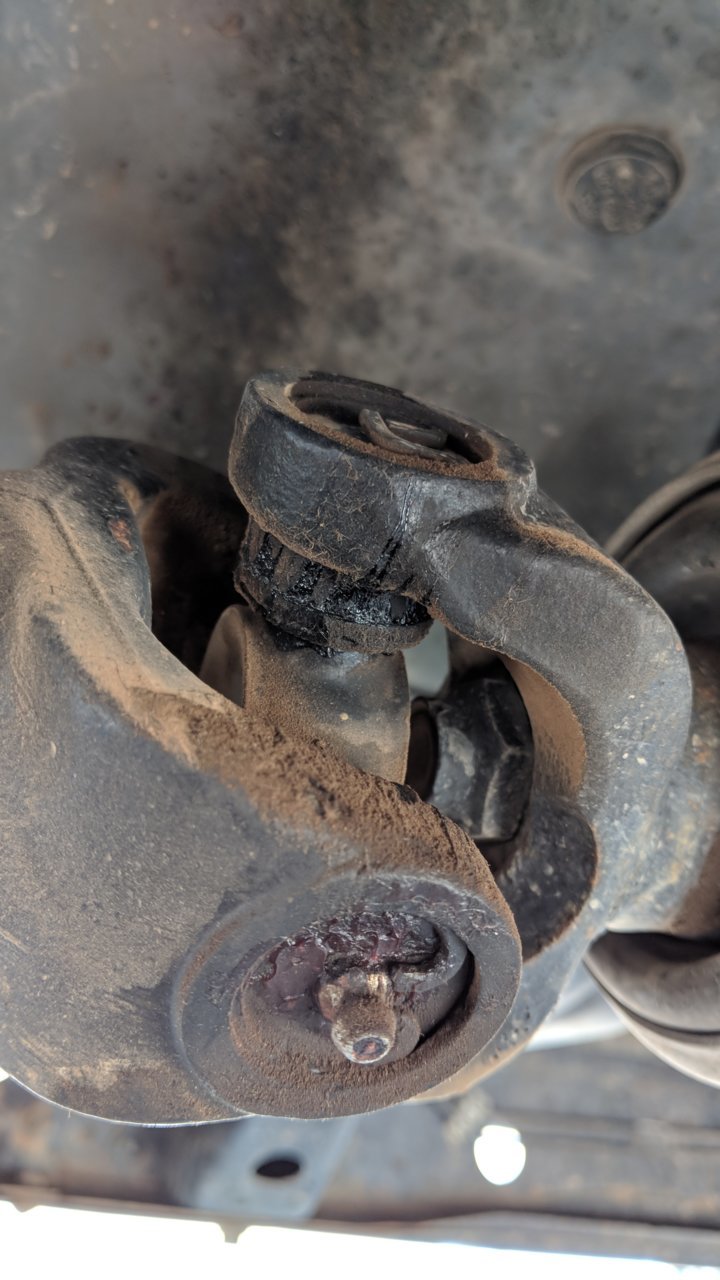 MVIMG_20180902_100645.jpg