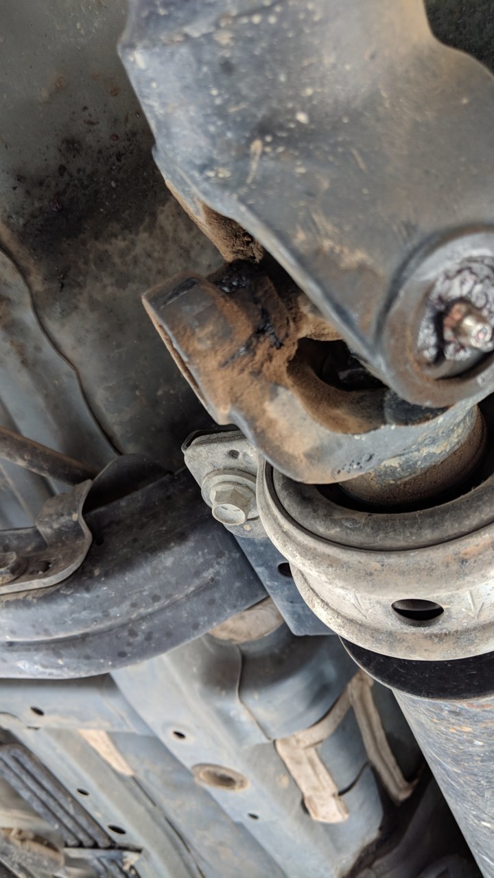 MVIMG_20180902_100702.jpg