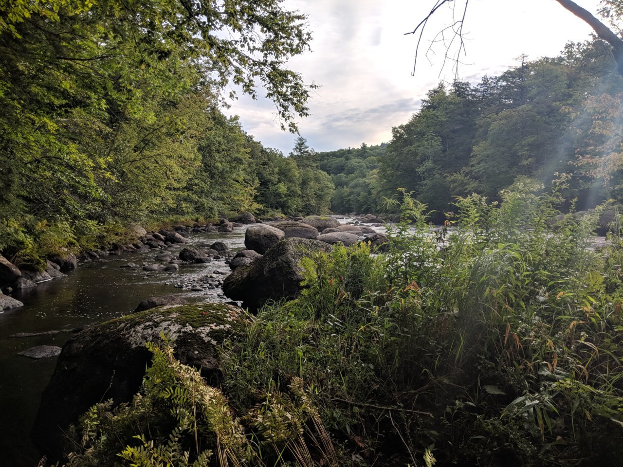 MVIMG_20180907_081142.jpg
