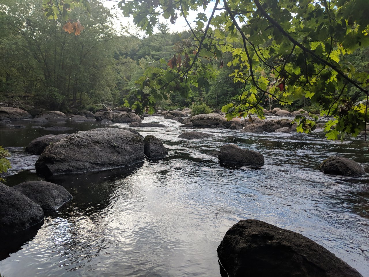 MVIMG_20180907_083127.jpg