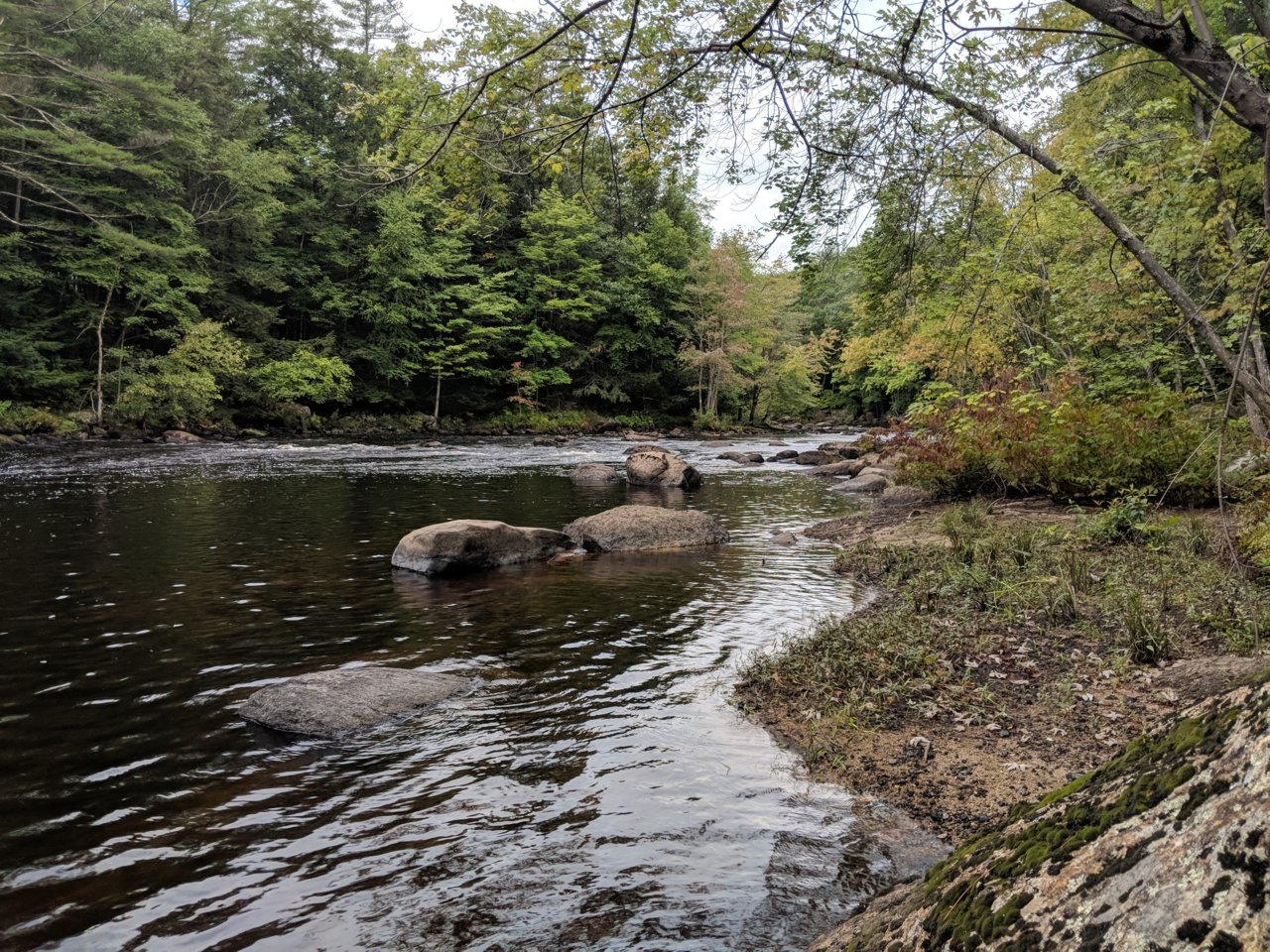 MVIMG_20180907_095306.jpg