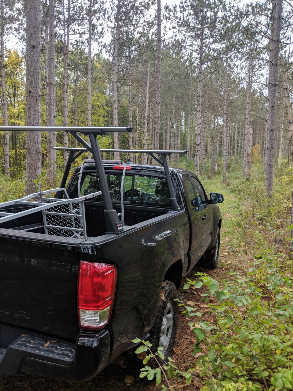 MVIMG_20181021_101604.jpg