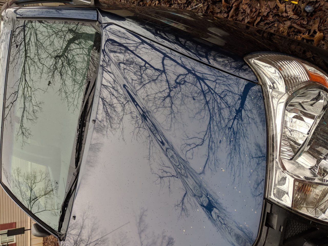 MVIMG_20190103_103018.jpg