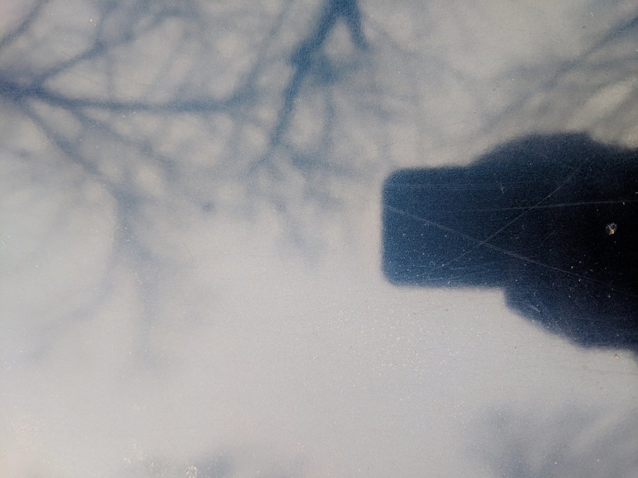 MVIMG_20190103_104316.jpg