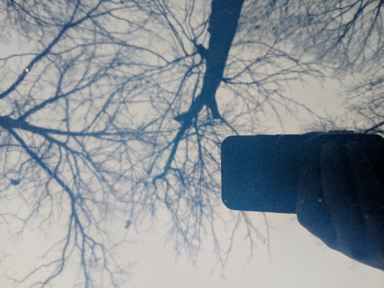 MVIMG_20190103_104324.jpg