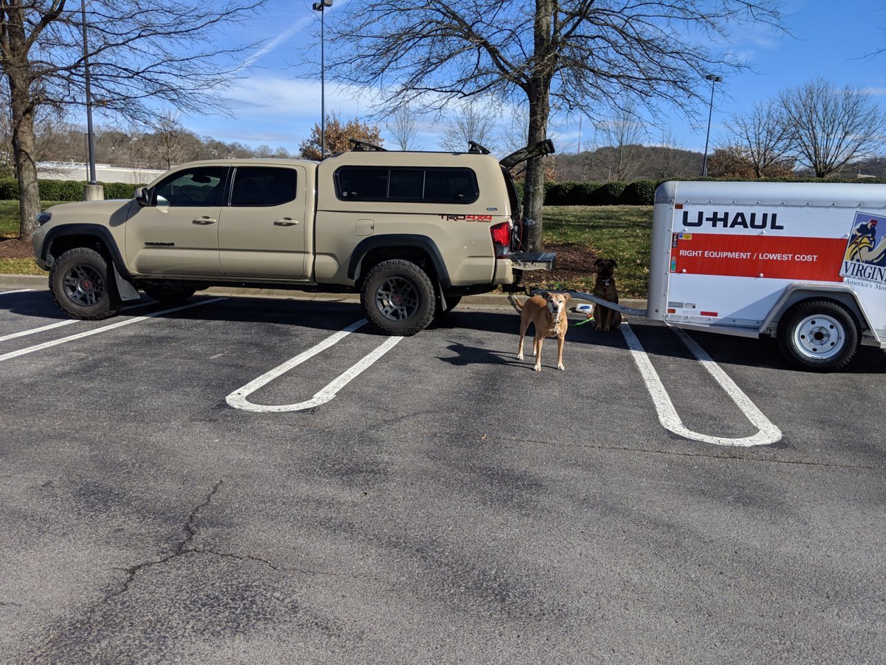 MVIMG_20190122_125229.jpg