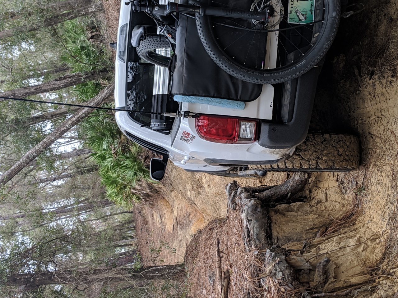 MVIMG_20190126_162802.jpg