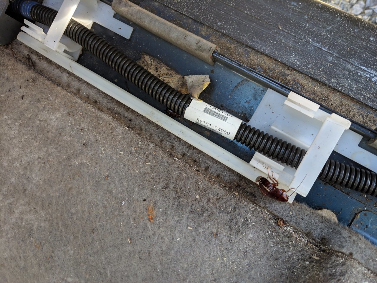 MVIMG_20190131_101502.jpg