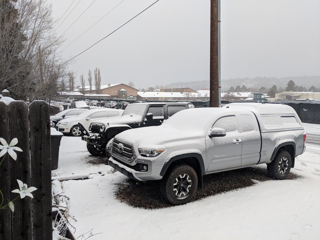MVIMG_20190205_082910.jpg