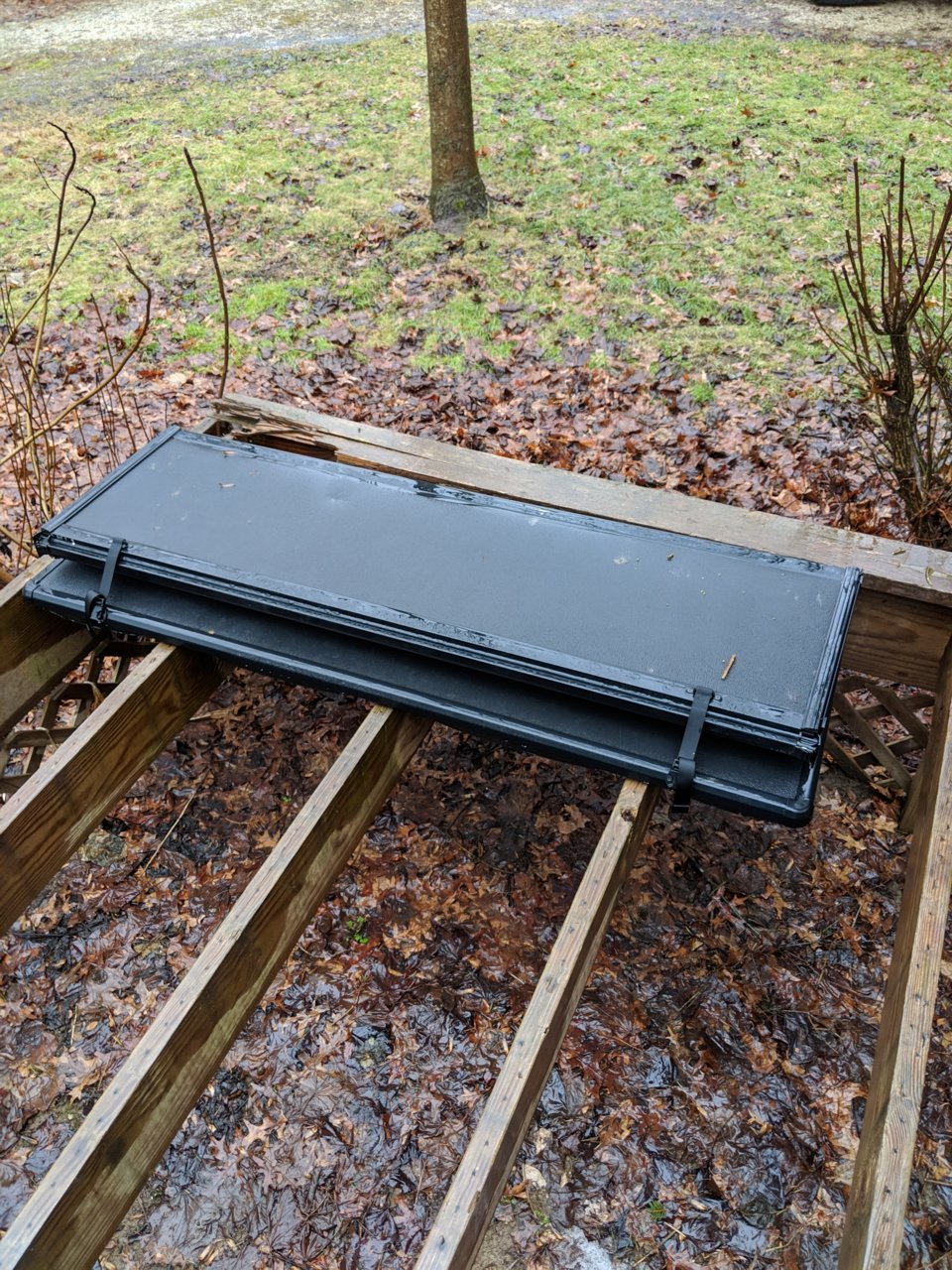 MVIMG_20190206_115035.jpg