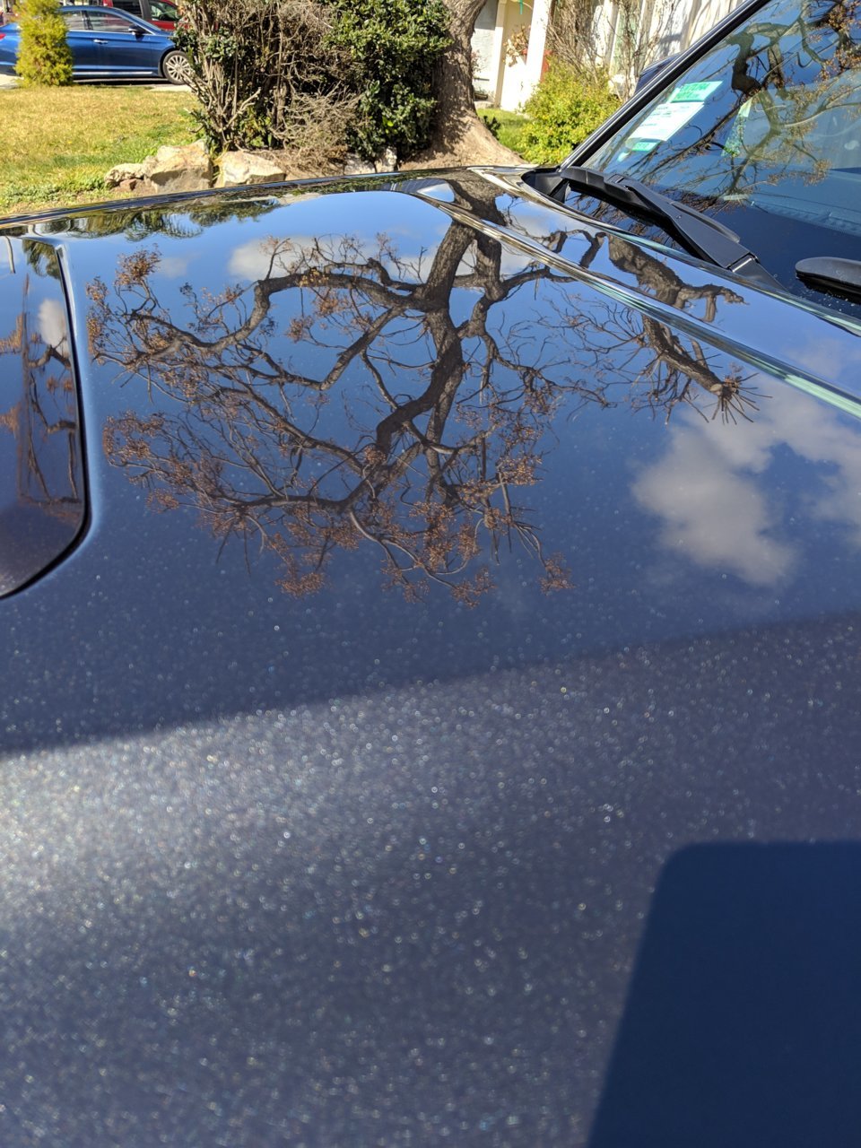 MVIMG_20190209_132430.jpg