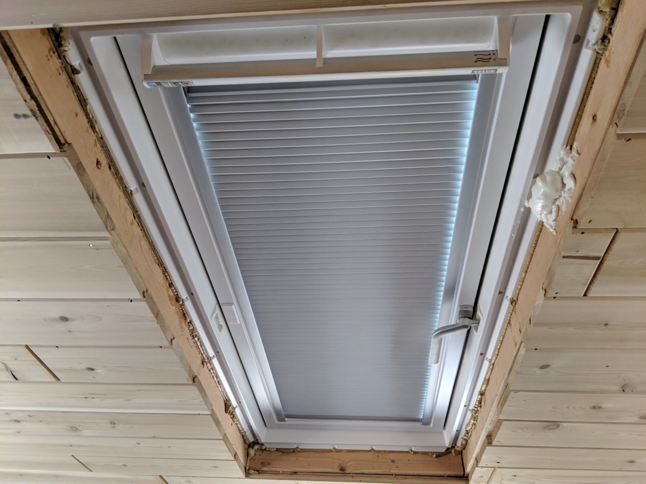 MVIMG_20190212_134239.jpg