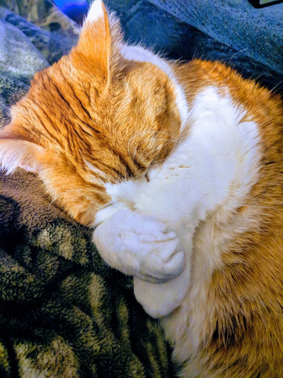 MVIMG_20190214_194147.jpg