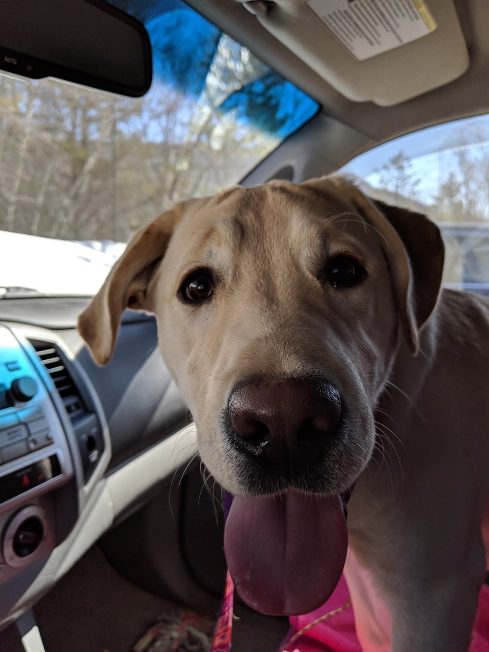 MVIMG_20190301_120927.jpg
