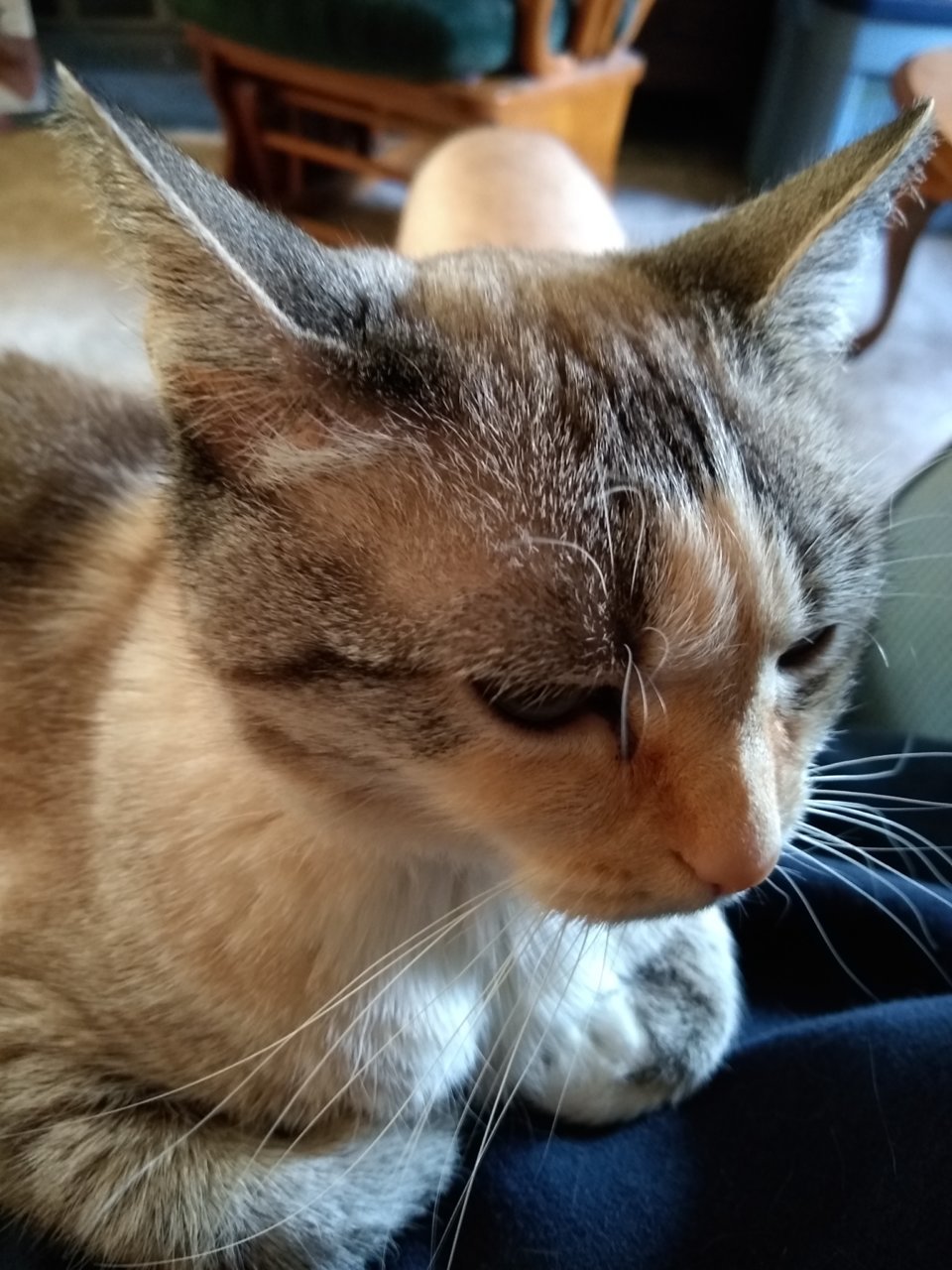 MVIMG_20190314_164339594.jpg