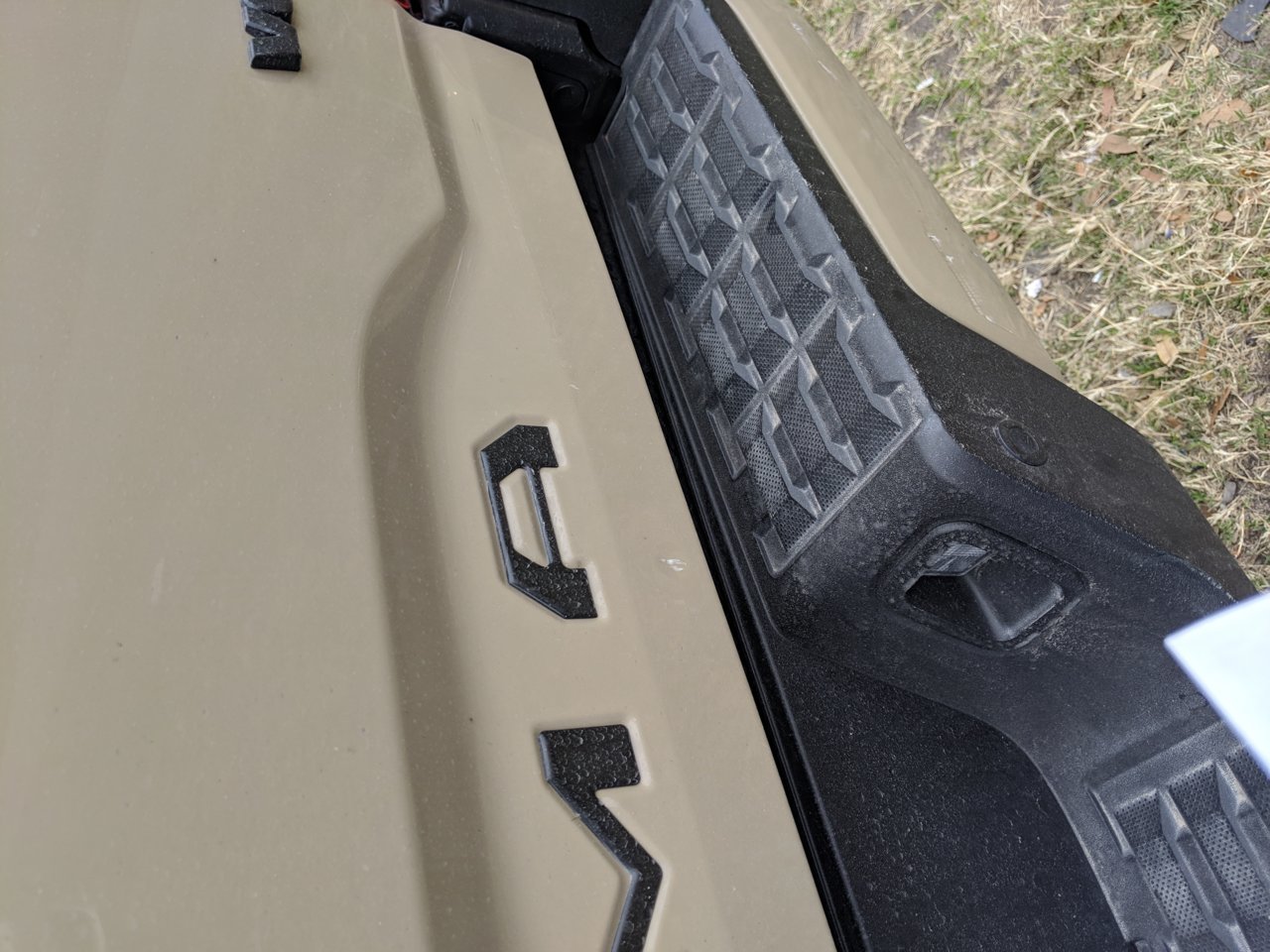 MVIMG_20190323_110311.jpg