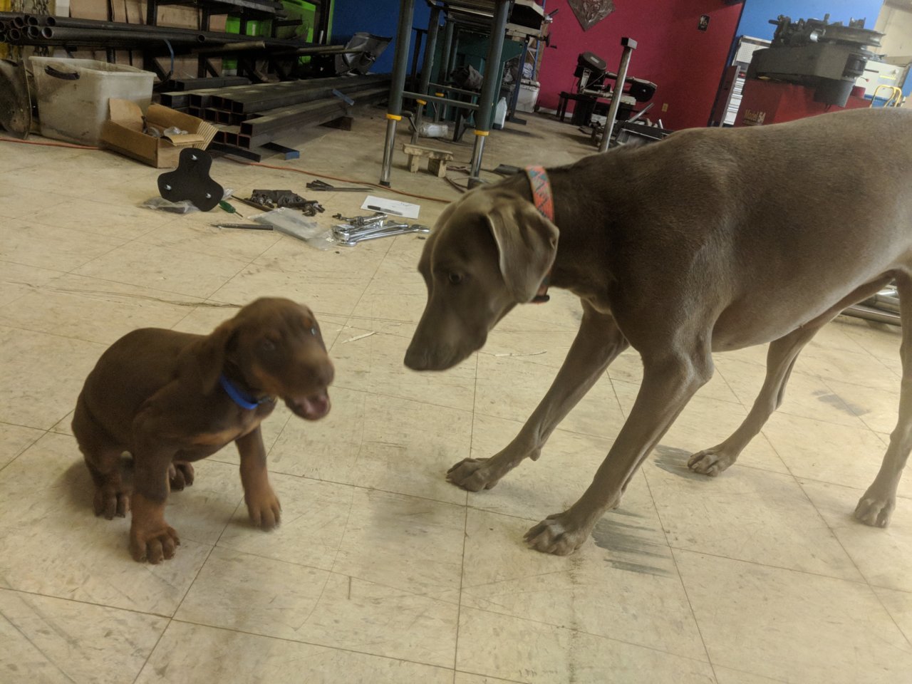 MVIMG_20190404_055843.jpg