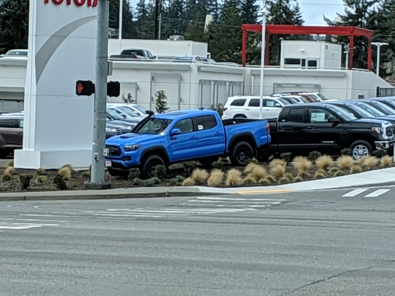 MVIMG_20190406_123716.jpg