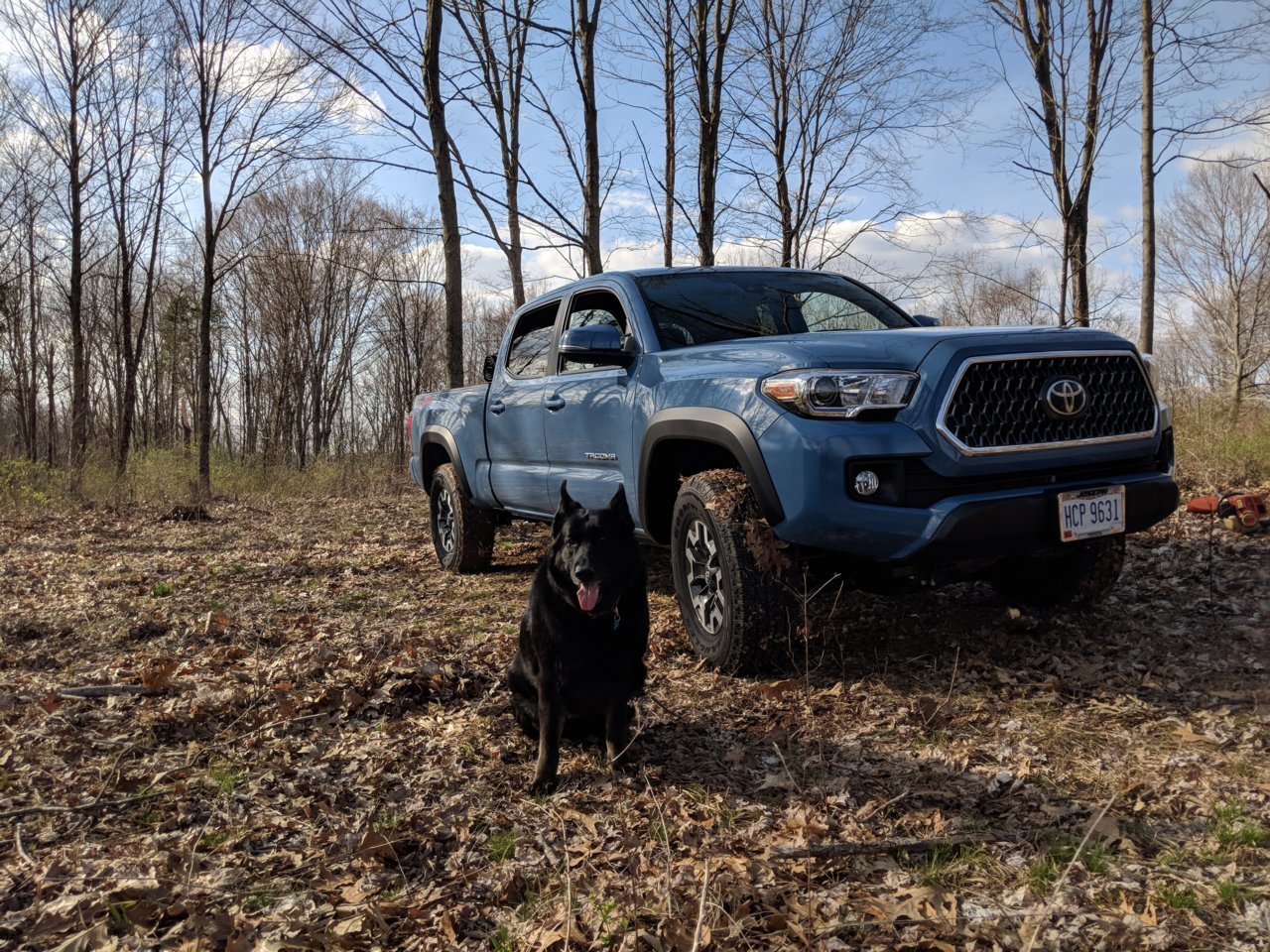 MVIMG_20190406_173804.jpg