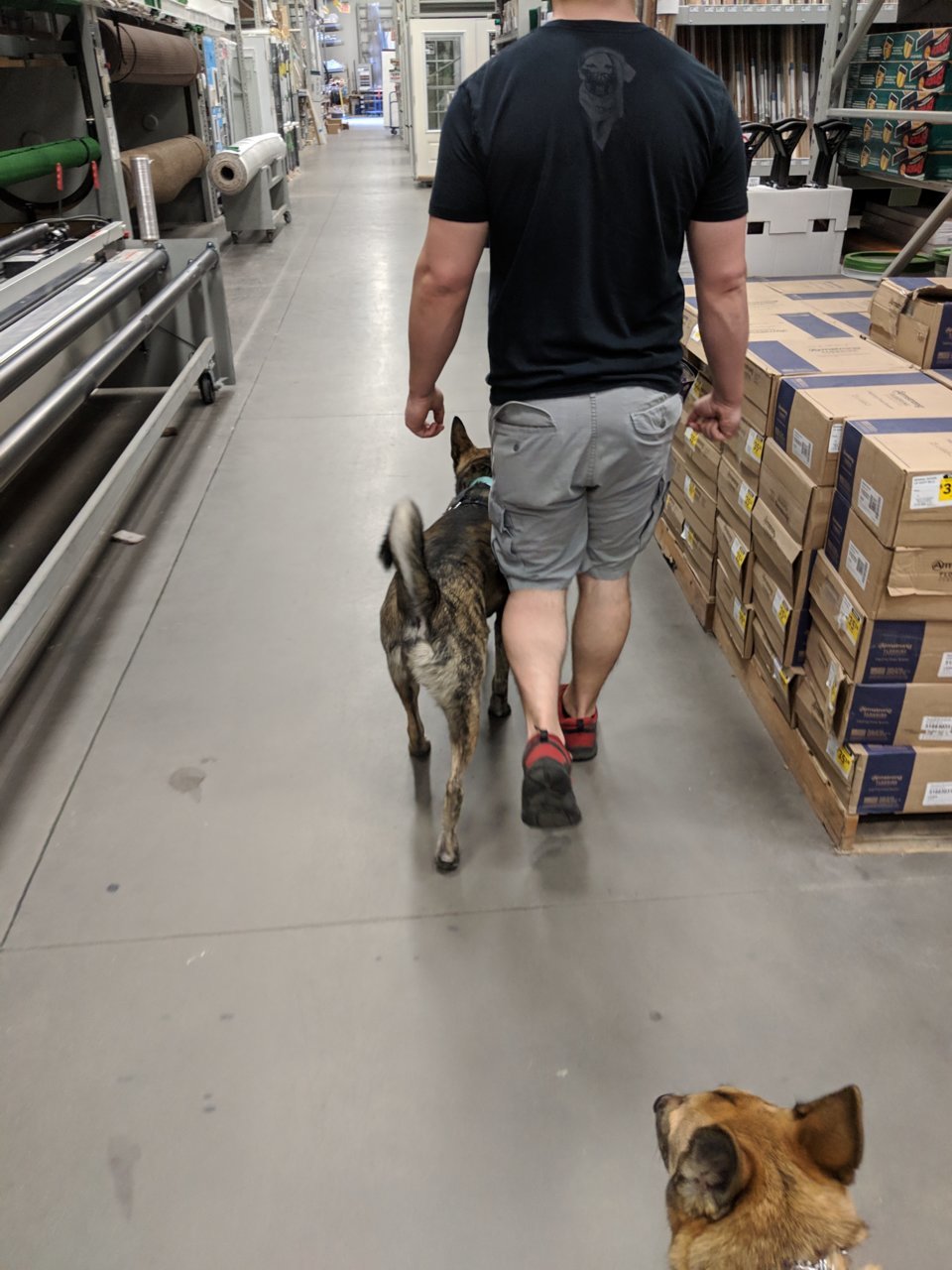 MVIMG_20190407_155424.jpg