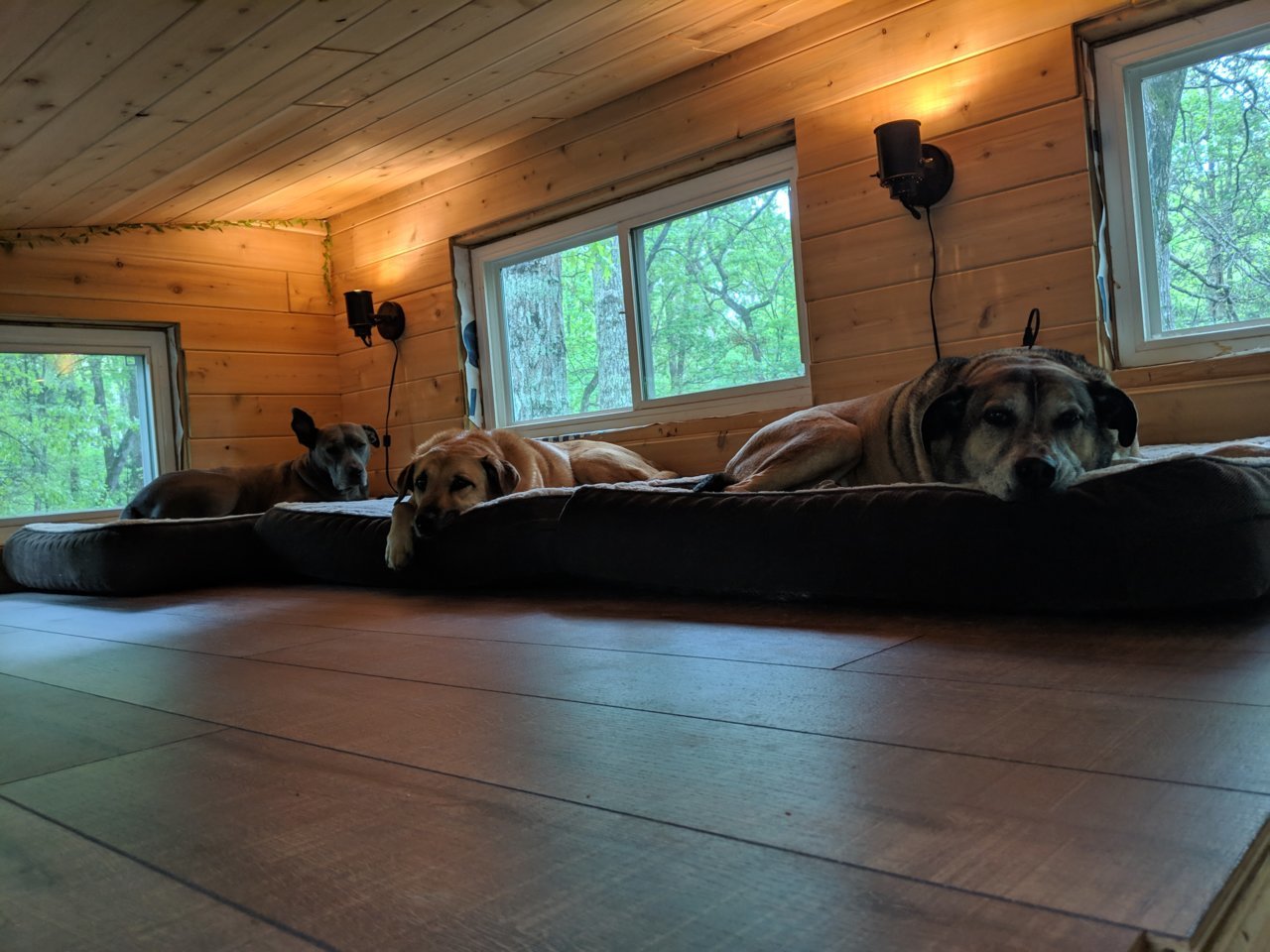MVIMG_20190413_133431.jpg