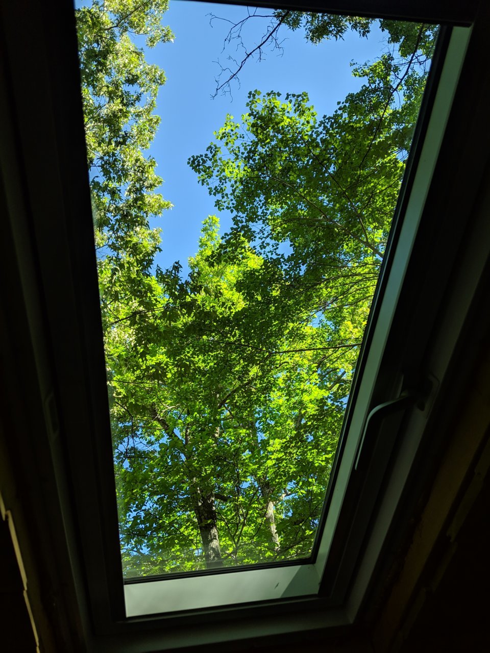 MVIMG_20190422_102551.jpg