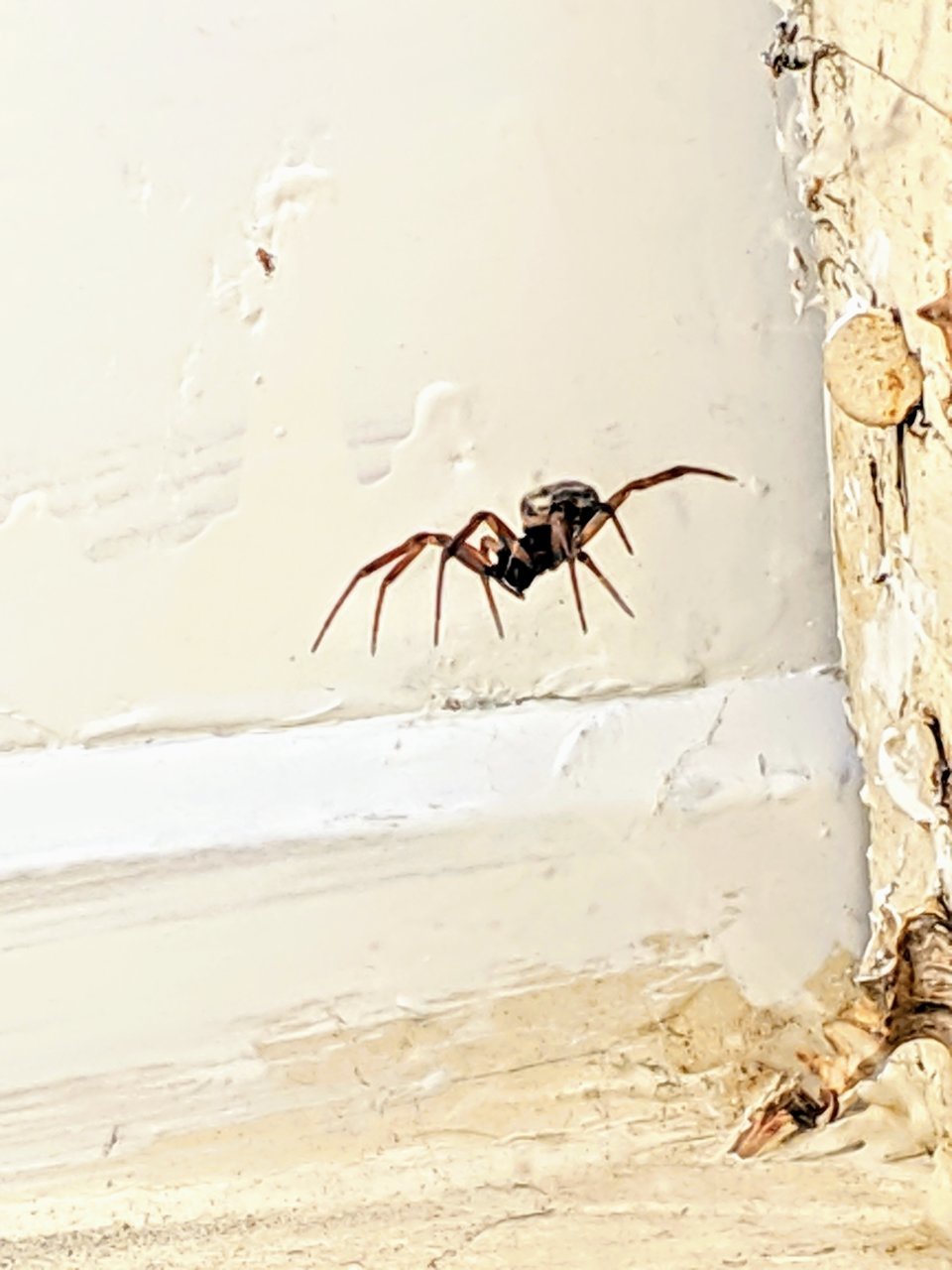 MVIMG_20190427_132208~2.jpg