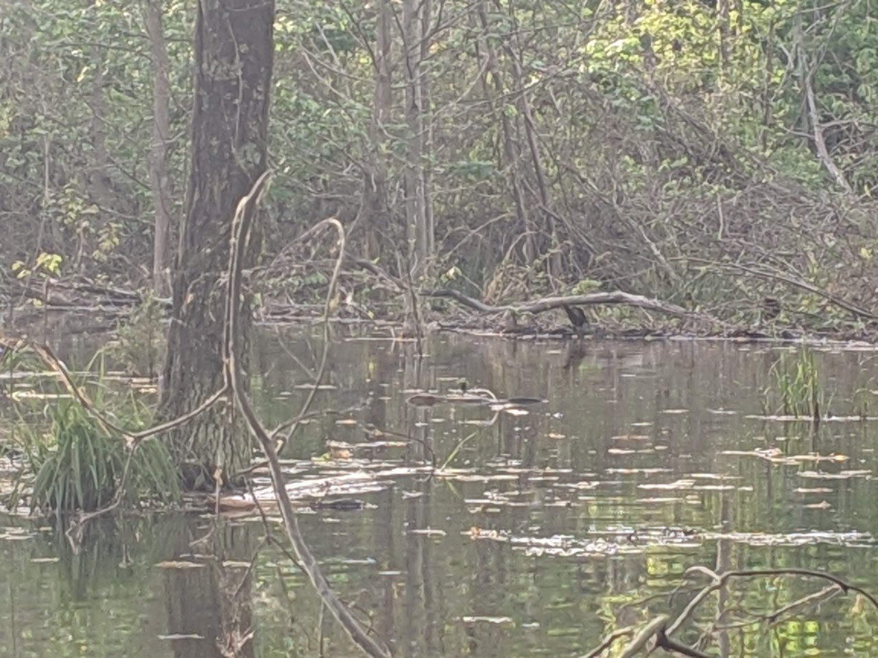 MVIMG_20190501_184042.jpg