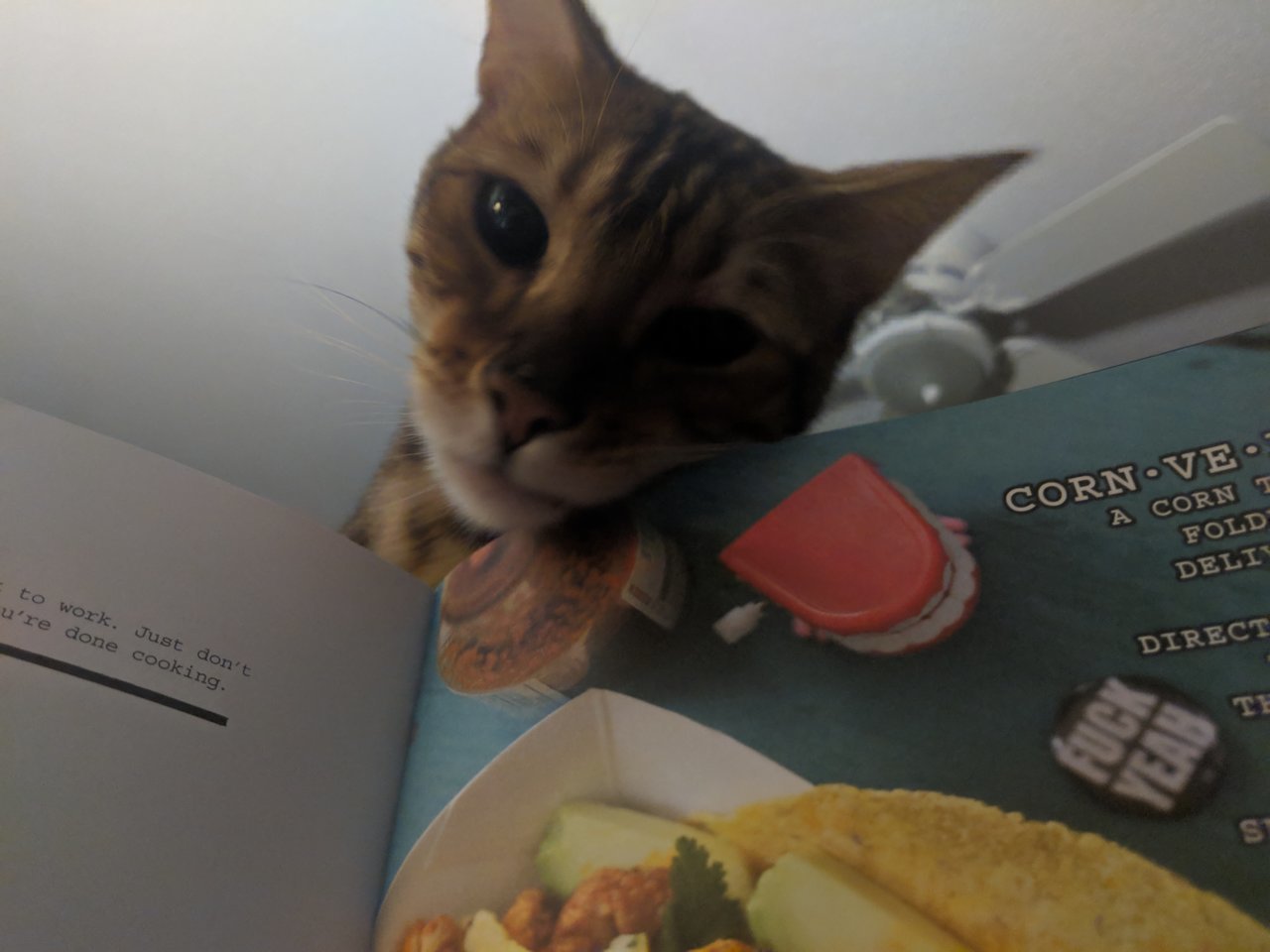 MVIMG_20190502_102207.jpg