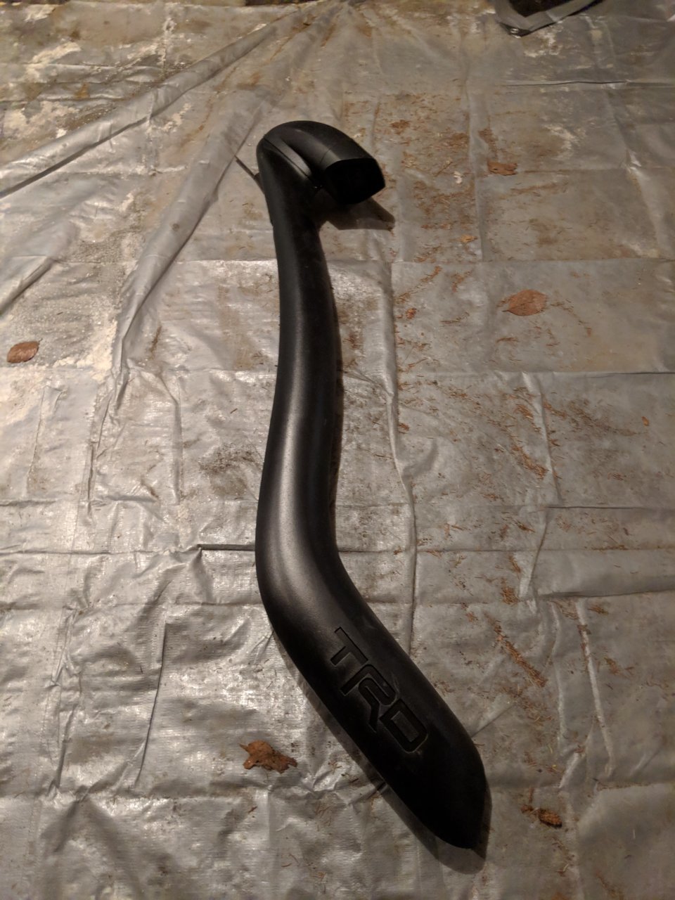 MVIMG_20190502_184118.jpg