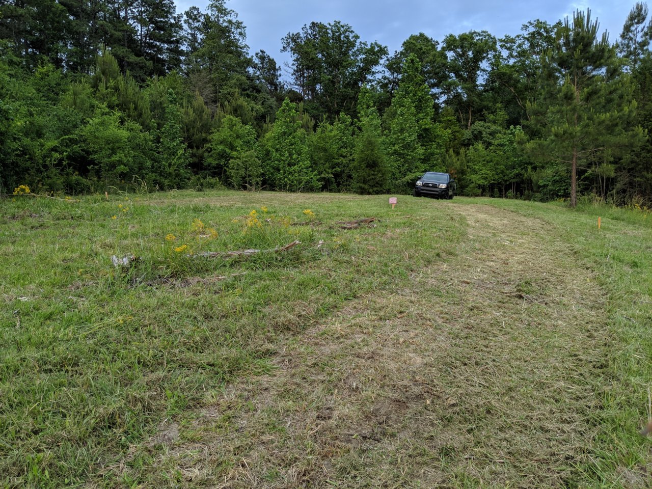 MVIMG_20190515_192404.jpg