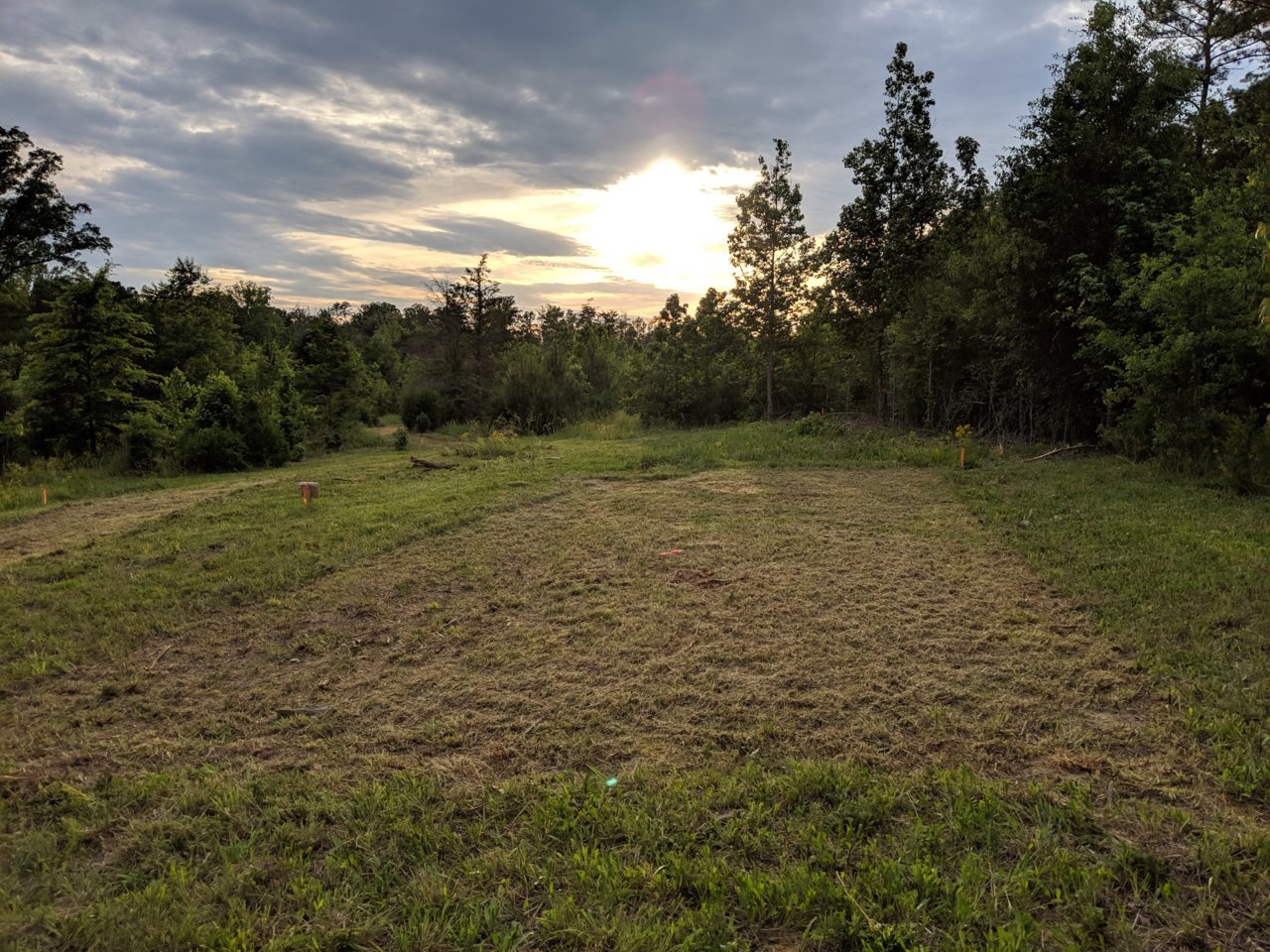 MVIMG_20190515_192525.jpg