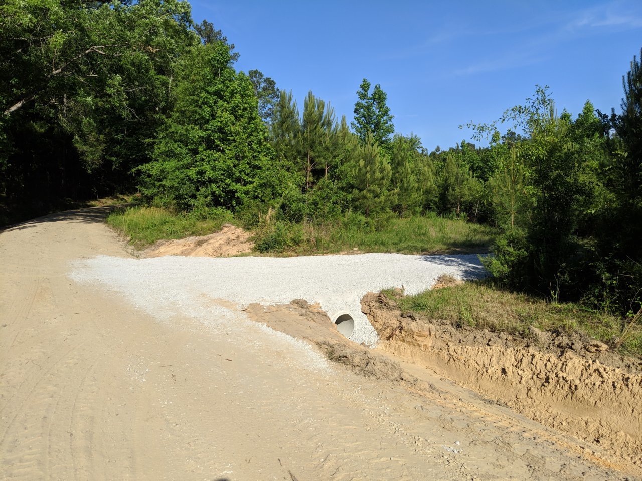 MVIMG_20190517_175530.jpg