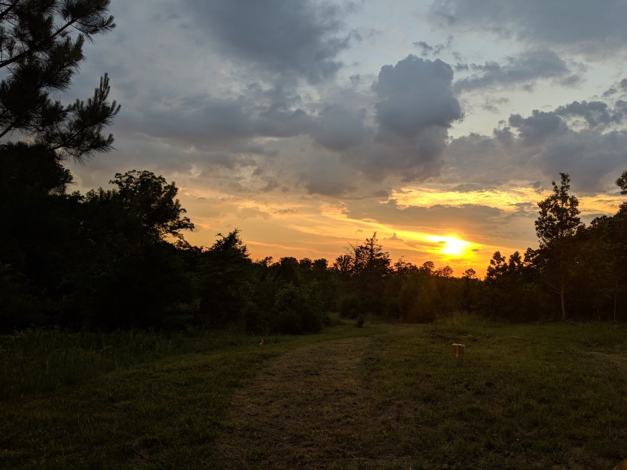 MVIMG_20190518_194915.jpg