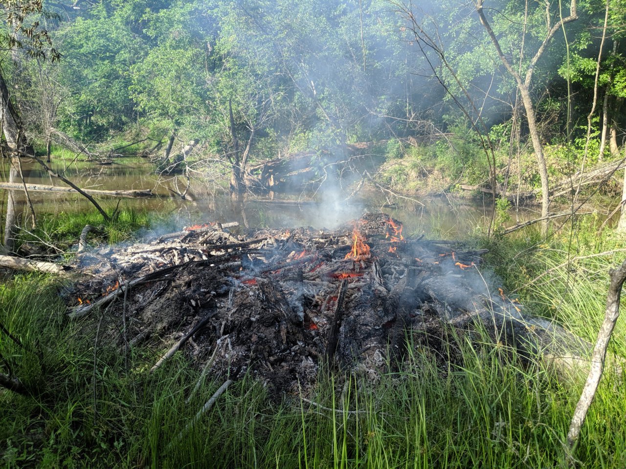 MVIMG_20190519_175229.jpg