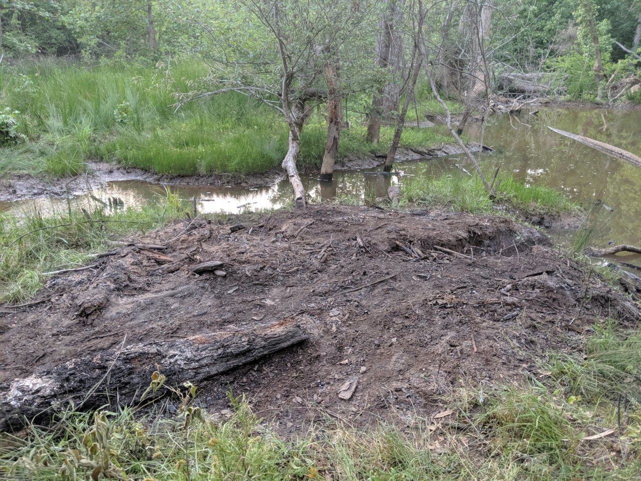 MVIMG_20190519_201346.jpg