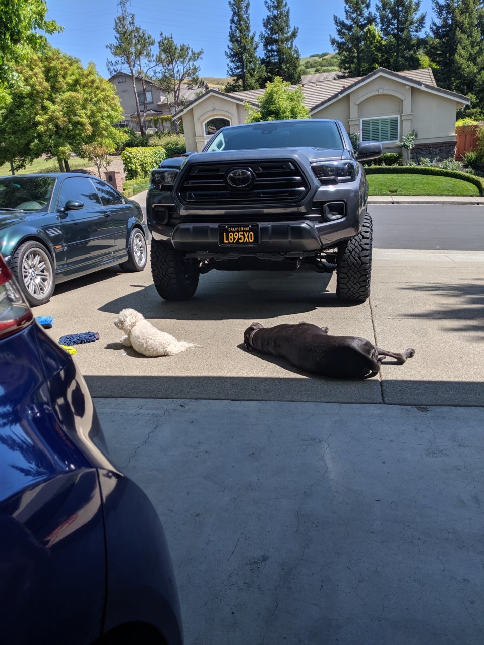 MVIMG_20190524_150123.jpg