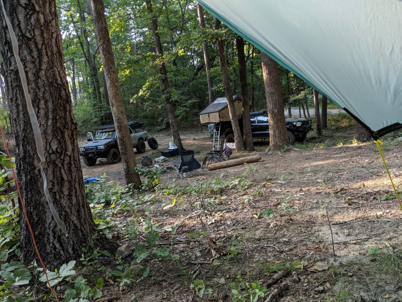 MVIMG_20190525_080522.jpg