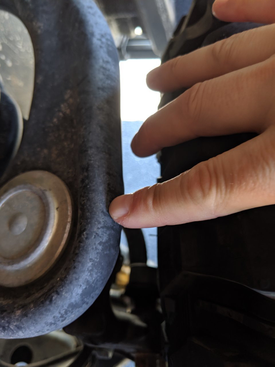 MVIMG_20190619_104512.jpg