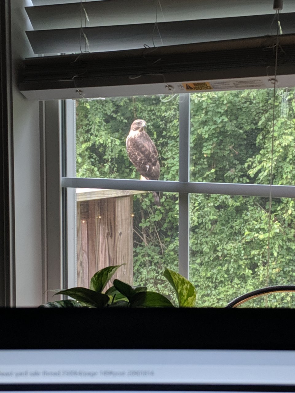 MVIMG_20190620_090633.jpg