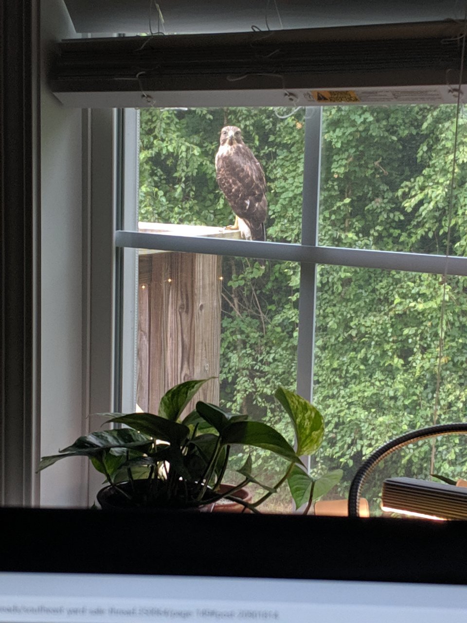 MVIMG_20190620_090635.jpg