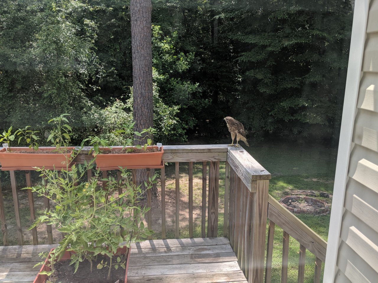 MVIMG_20190620_142505.jpg