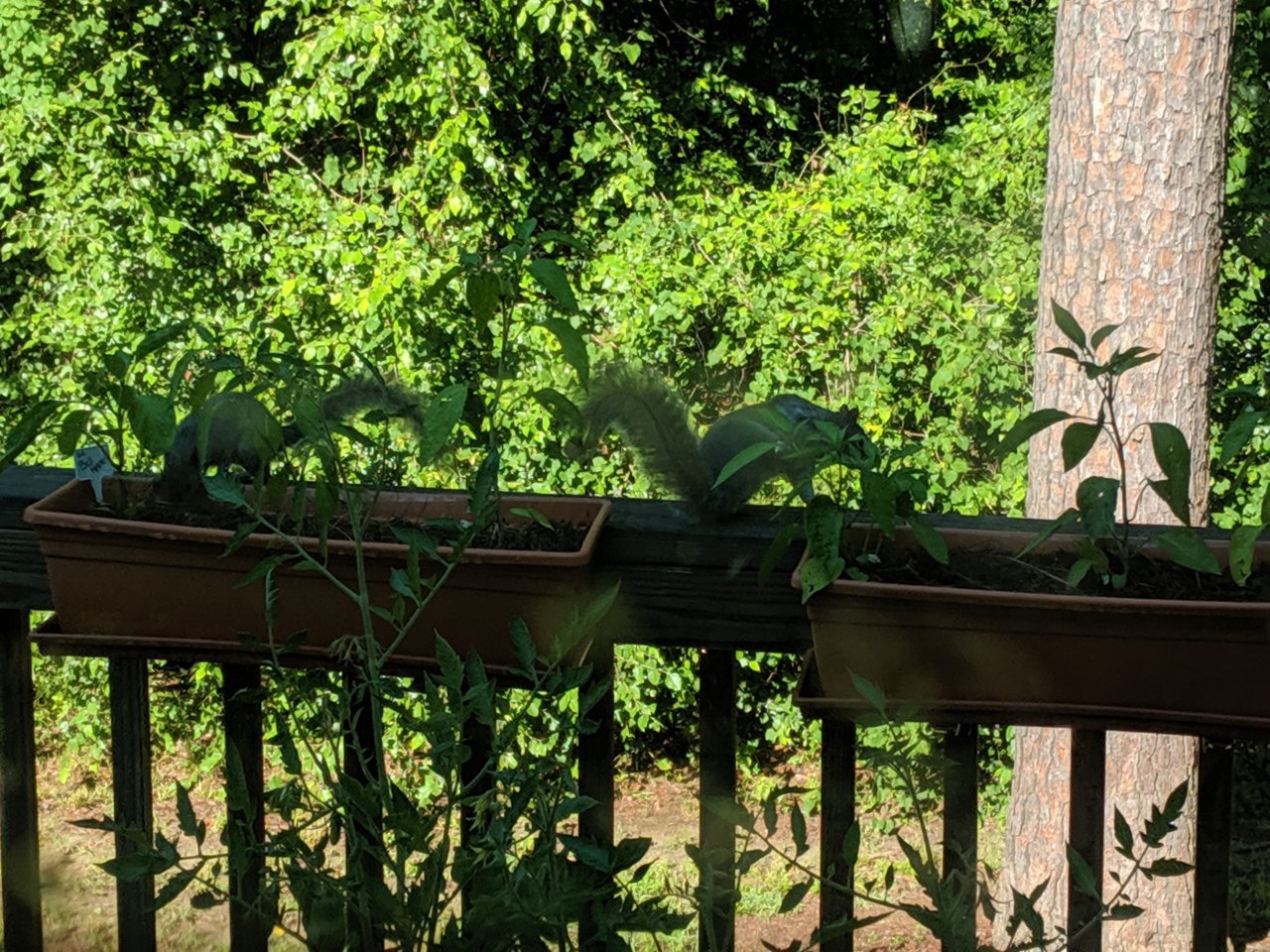MVIMG_20190621_084728.jpg