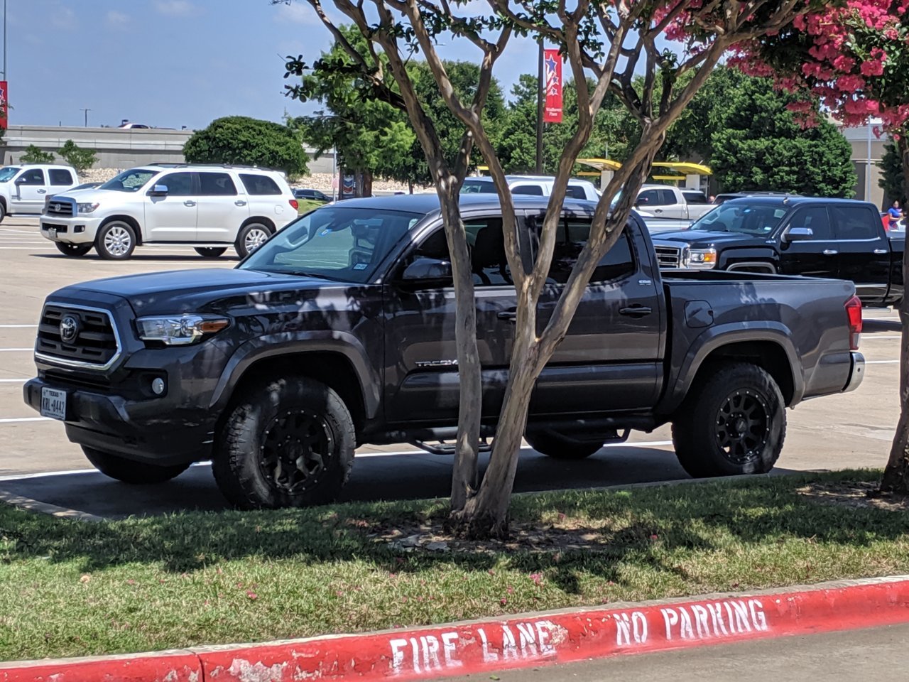 MVIMG_20190621_150230.jpg